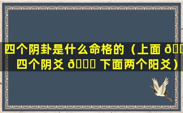 四个阴卦是什么命格的（上面 🐛 四个阴爻 🐘 下面两个阳爻）